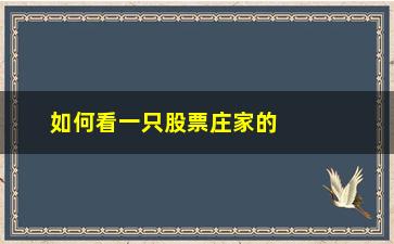 “如何看一只股票庄家的行为